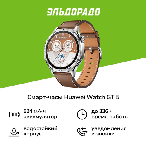 Смарт-часы HUAWEI Watch GT 5 46mm Brown 17999₽