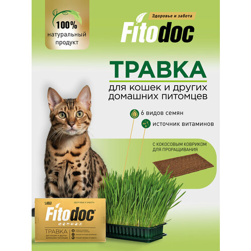 Фитодок Травка для кошек, кроликов и других домашних питомцев, трава для проращивания, готовый набор для выращивания