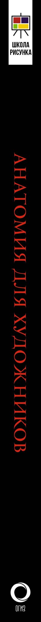 Анатомия для художников — фото 1