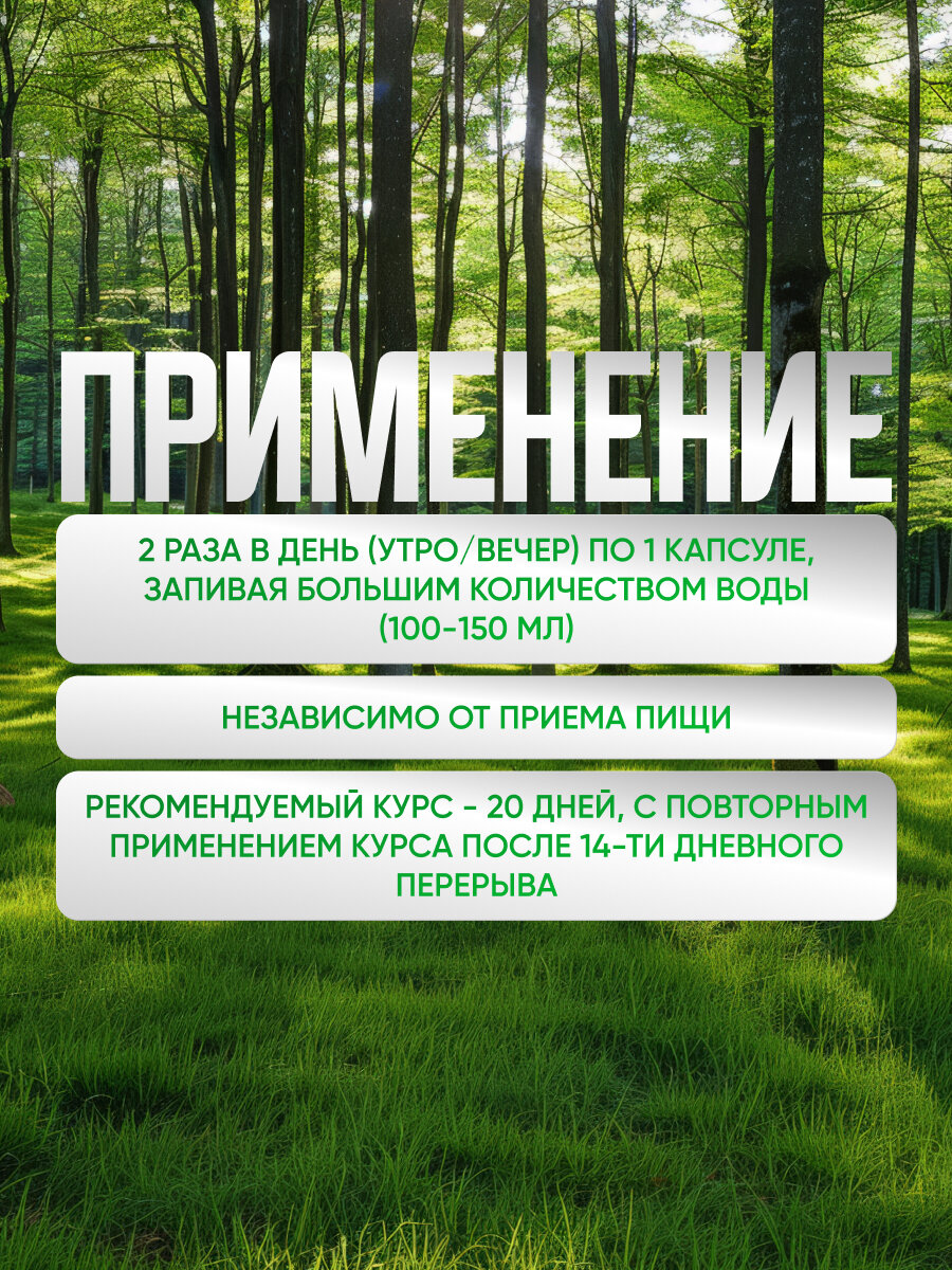 Изображение Инсулайт Иммуно для иммунитета, противовирусный комплекс, 1 уп