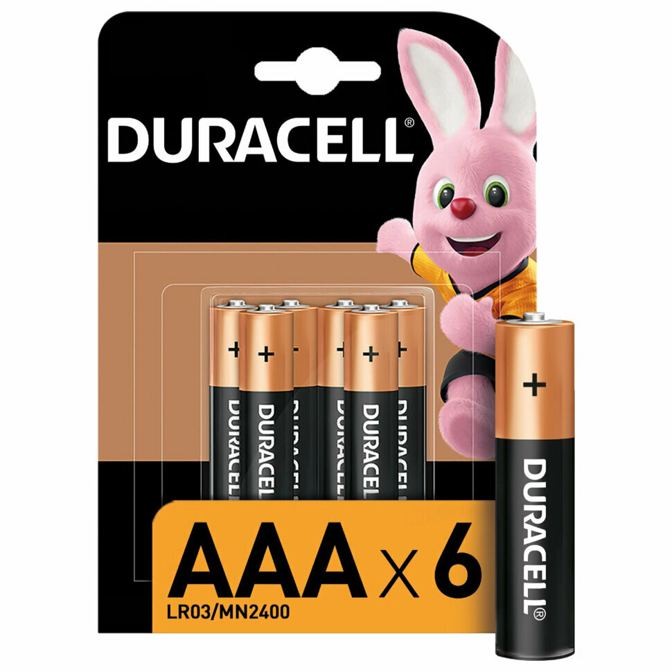 Батарейки комплект 6 шт DURACELL Basic оригинал ААА (LR03 24А) алкалиновые мизинчиковые Б0014858 456985