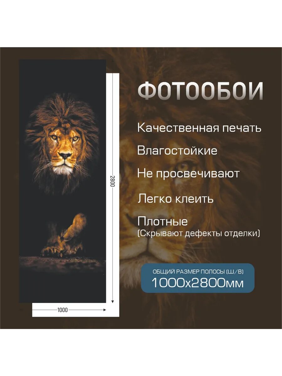Фотообои Лев 100 х 280 см — фото 1