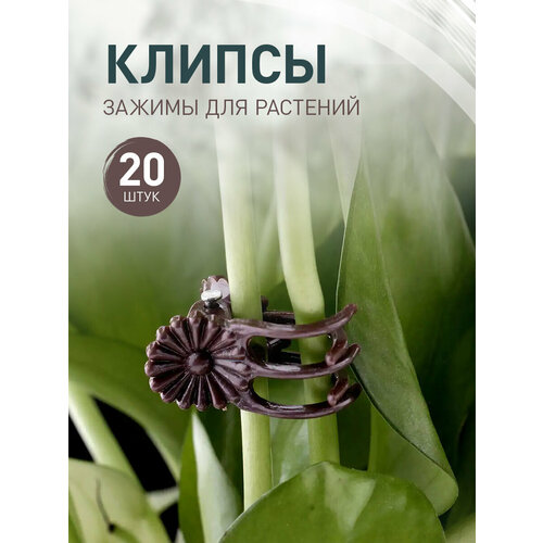 Клипсы для орхидей Iulkapu, 20 штук, коричневый цвет, длина 2см