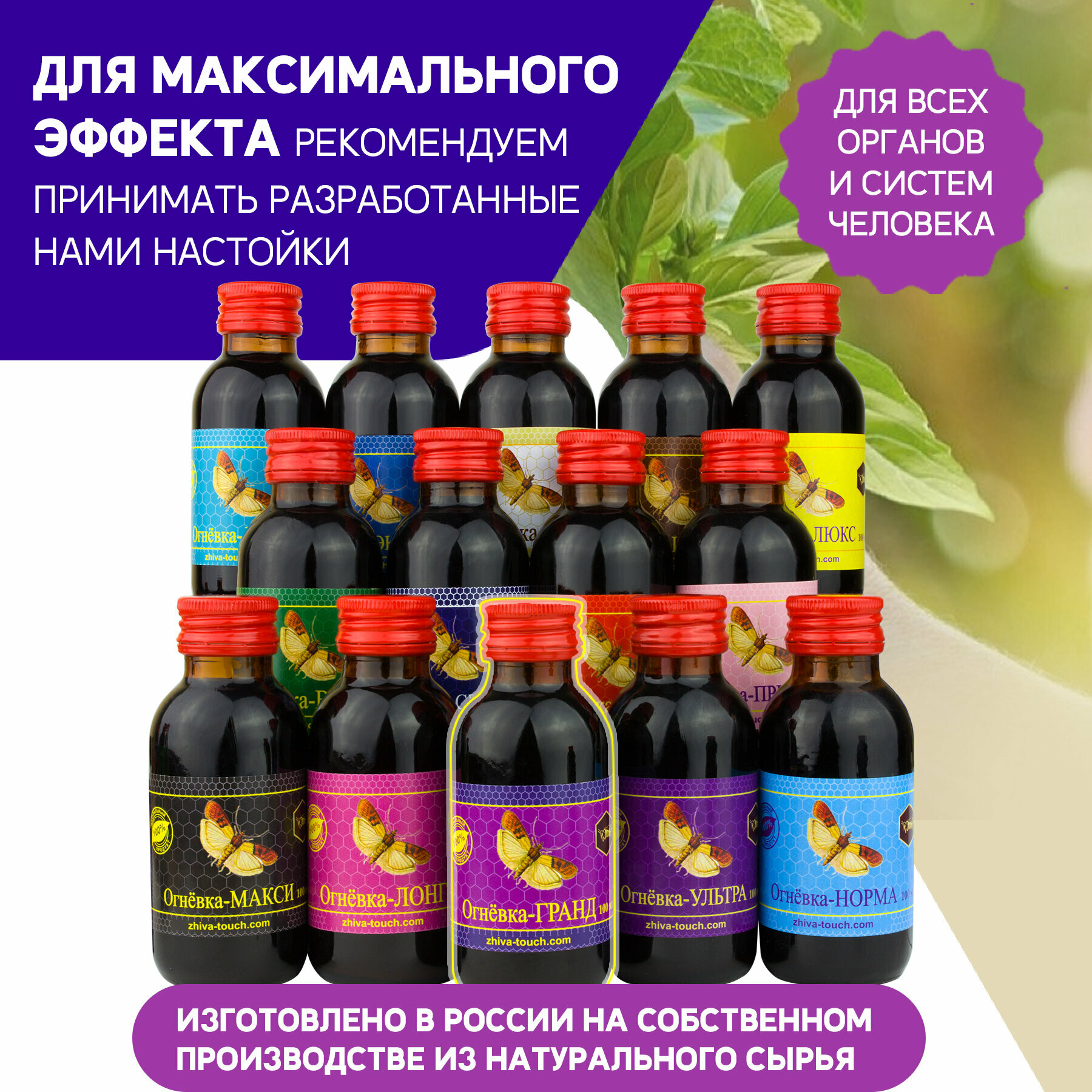 Препараты От Инфекций Мочевыводящих Путей Настойка Огневка - Гранд для почек, мочевыводящих каналов, выведения солей и шлаков, от отеков, 100 мл.