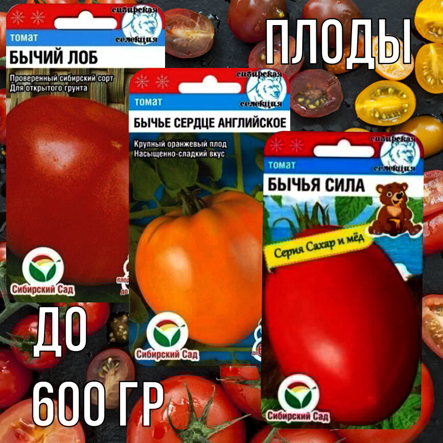 Семена томатов 
