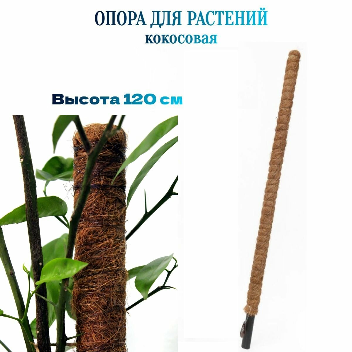 Долговечная кокосовая опора 120 см, как поддержка для красоты и здоровья длинных и кустистых садовых растений. Представляет собой пластиковую трубку, плотно оплетенную натуральным кокосовым волокном