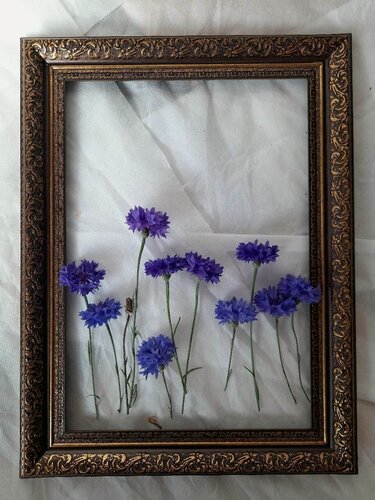 Изображение товара Багетная рама для картины (подрамника) 35х40 см (внутренний размер)