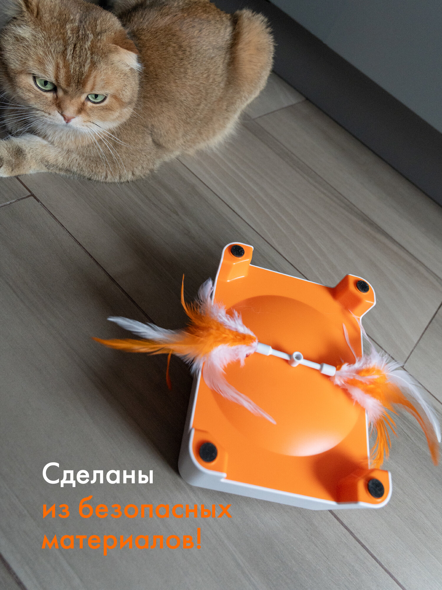 Комплект сменных игрушек и перьев для интерактивной игрушки Magic Box — фото 1