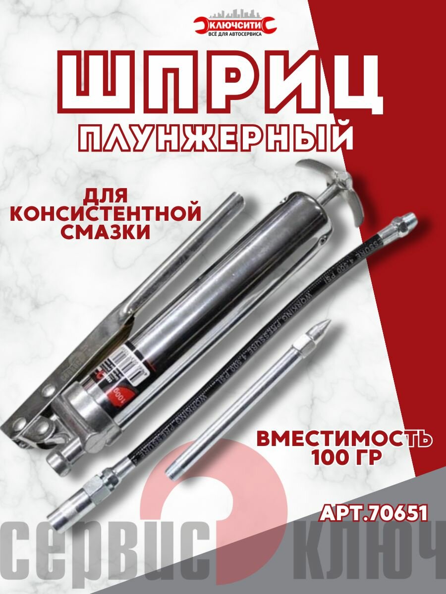Шприц плунжерный для консистентной смазки 100 мл Сервис Ключ