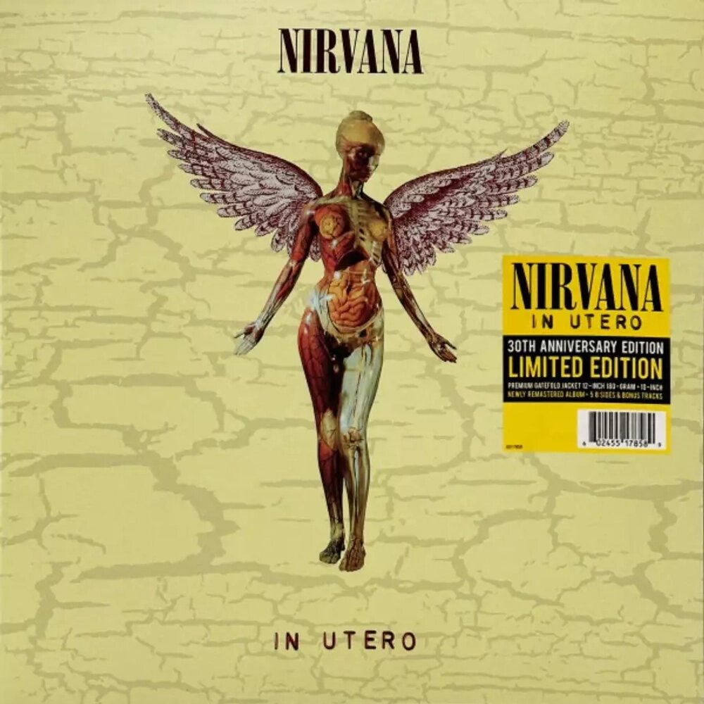Nirvana – In Utero LP
