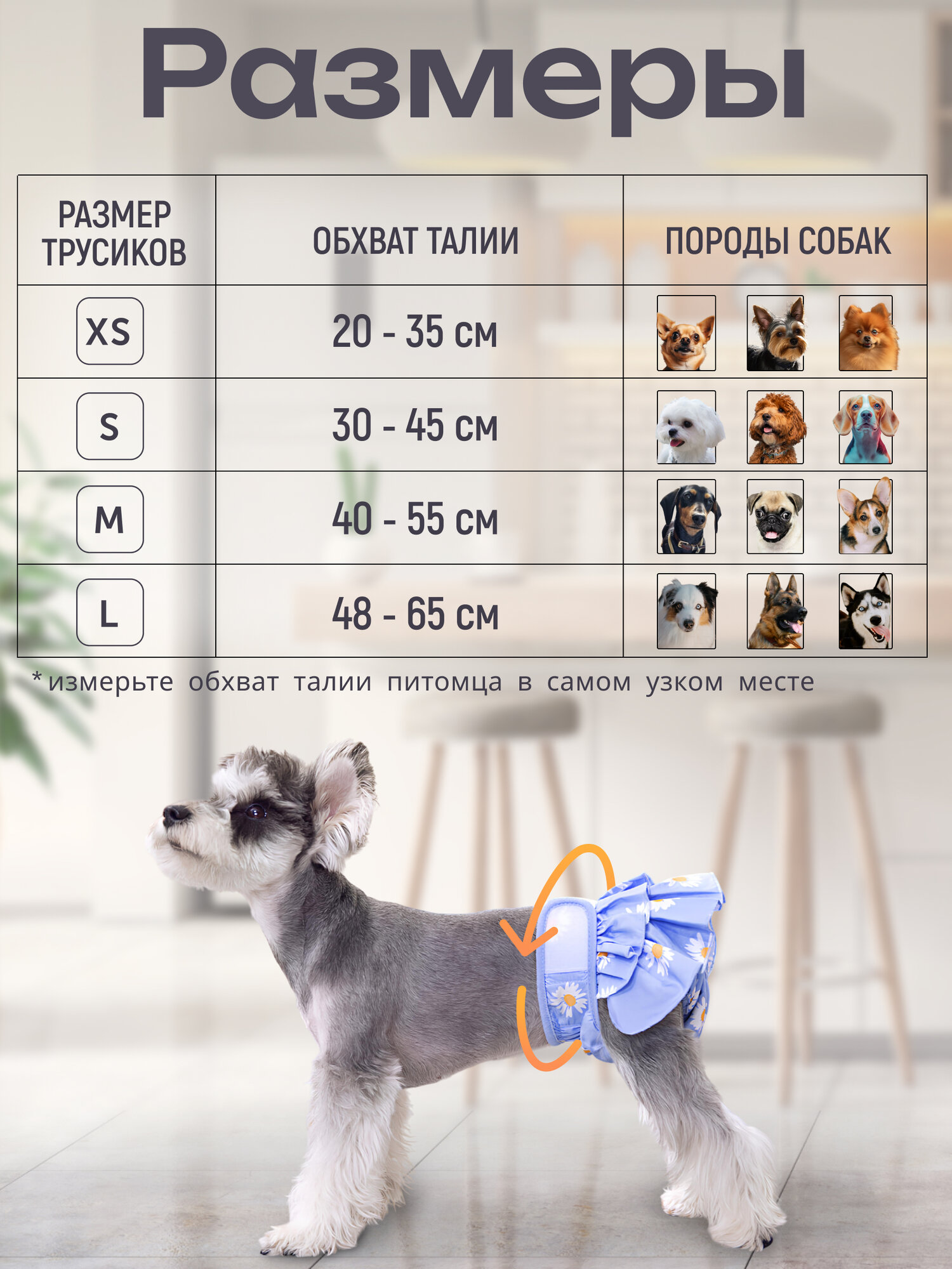 Трусы для собаки во время течки многоразовые, размер M, подгузники для собак впитывающие — фото 1