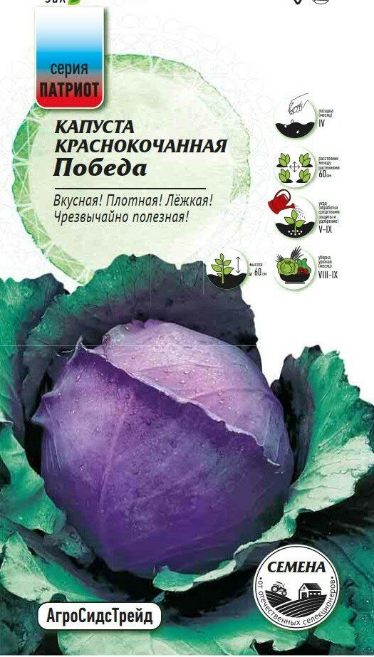 Семена Капуста краснокочанная Победа патриот