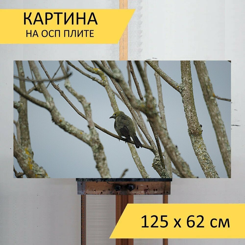 Картина на ОСП "Птица, природа, дерево" 125x62 см. для интерьера на стену