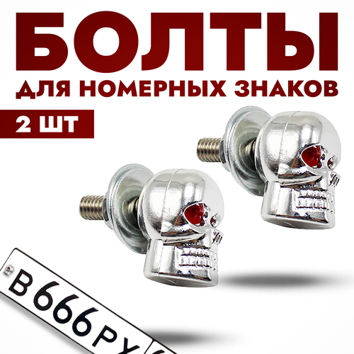 Болты для крепления номеров на авто и мотоцикл 2шт серебристые 230₽