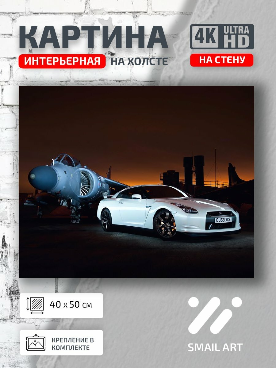 Картина на холсте интерьерная 40 на 50 на стену Белый phantom для кабинета авиация интерьер