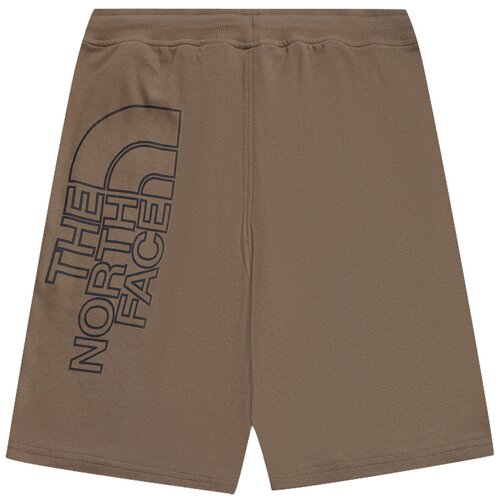 Шорты The North Face Men&#039;s Graphic Light Shorts Military Olive / XS цвета хаки