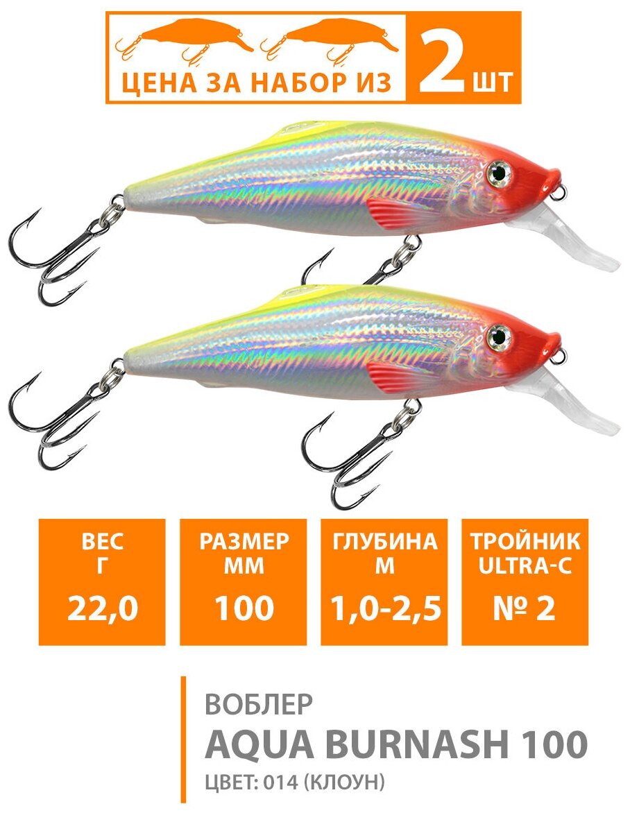    AQUA BURNASH 100mm,  - 22,0g,  014 () ( 2 )