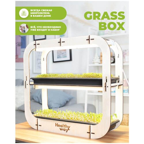 Healthy Way Набор для выращивания микрозелени дома Grass Box. Стеллаж для рассады на подоконнике