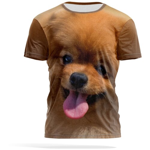 фото Футболка panin brand, размер m, коричневый, бежевый