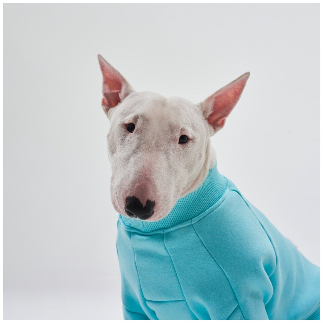 WOOFLER / Свитшот для французского бульдога, бультерьера и амстаффа, толстовка из футера, одежда для собак, цвет бирюзовый, размер S36 - фотография № 2