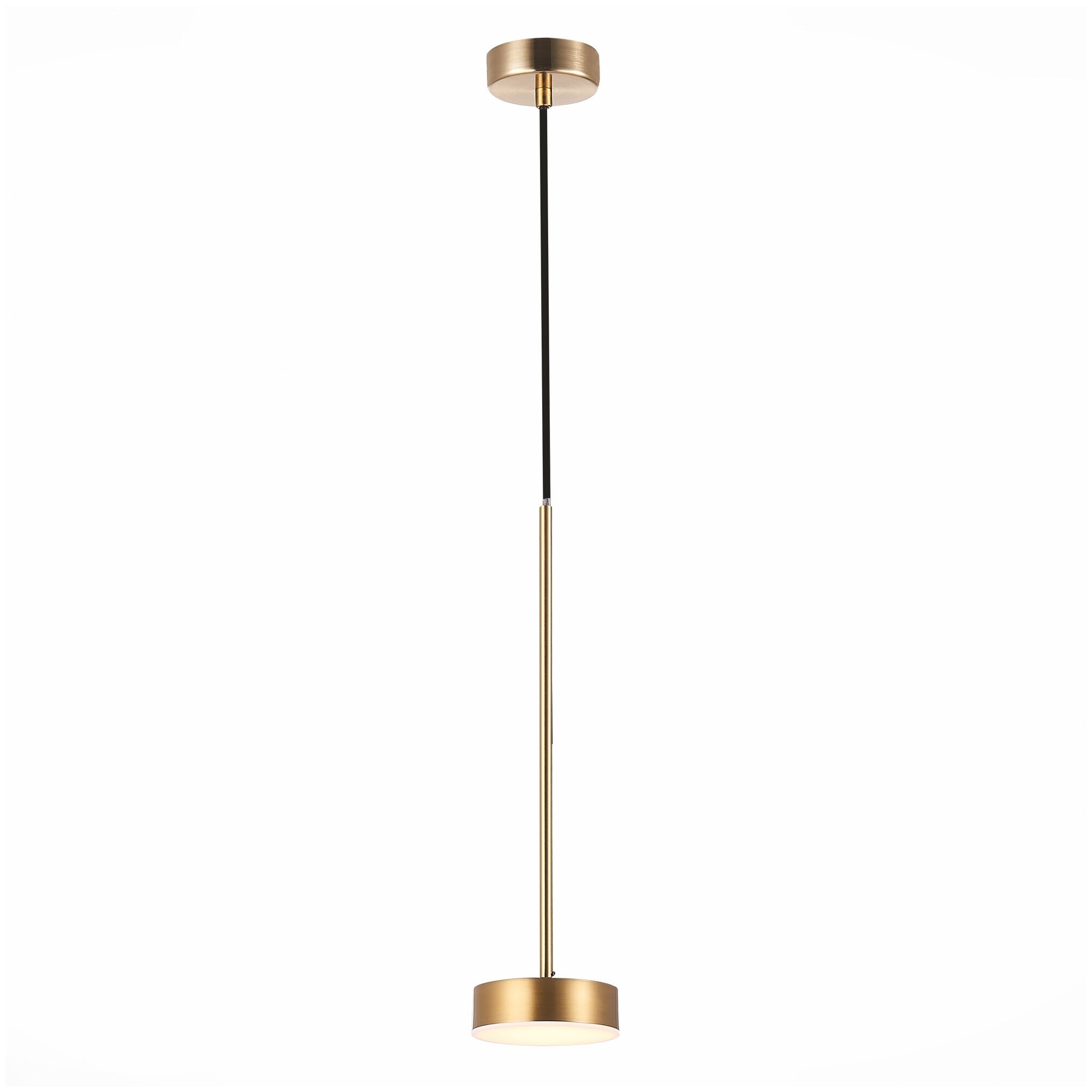 Светильник подвесной ST Luce Pances SL6000.303.01