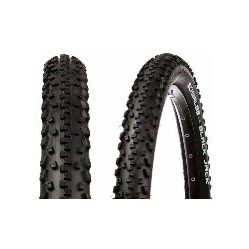 фото Покрышка 16x1.90 (47-305) schwalbe black jack k-guardactive b/b-sk hs407 sbc 50 epi китай