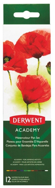 Набор акварельных красок Derwent Academy 12 цветов + кисточка
