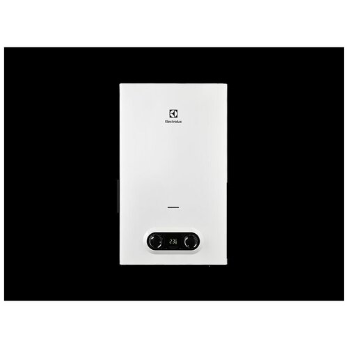 Колонка газовая Electrolux GWH 10 NanoPlus 20 1249000₽
