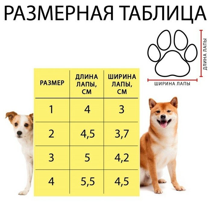 Ботинки Элеганс, набор 4 шт, размер 2 (подошва 4,5 х 3,7 см) розовые - фотография № 2