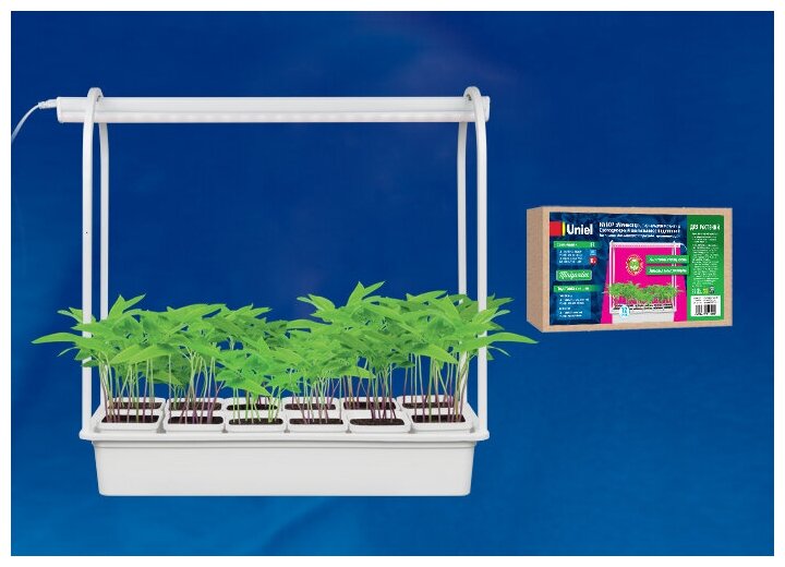 Набор Минисад. светильник для растений светодиодный с подставкой, 12 кашпо в-к. белые. - фотография № 2