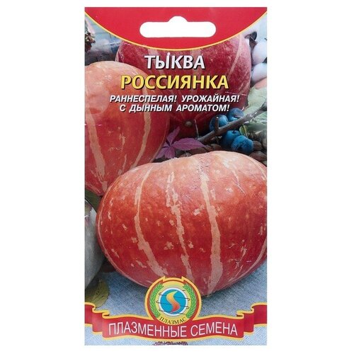 Семена Тыква Россиянка, 2 г