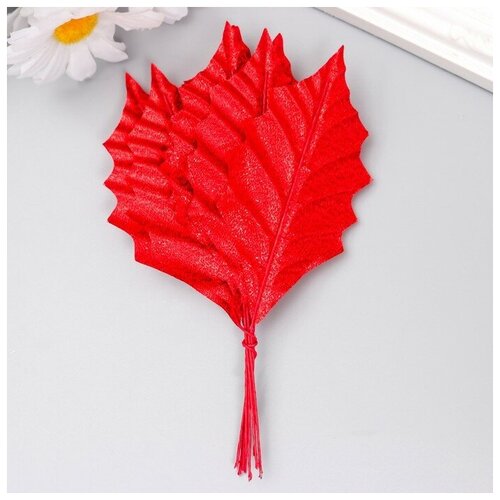 Купить Декор для творчества Листья красные с блеском набор 10 шт 9х4, 5 см, Нет бренда