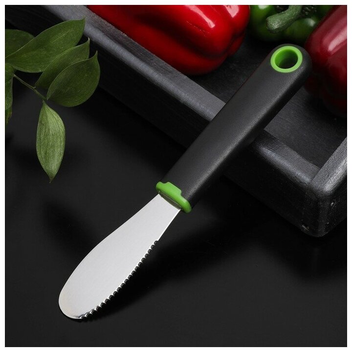 Нож для масла Lime 20×3 см цвет чёрно-зелёный