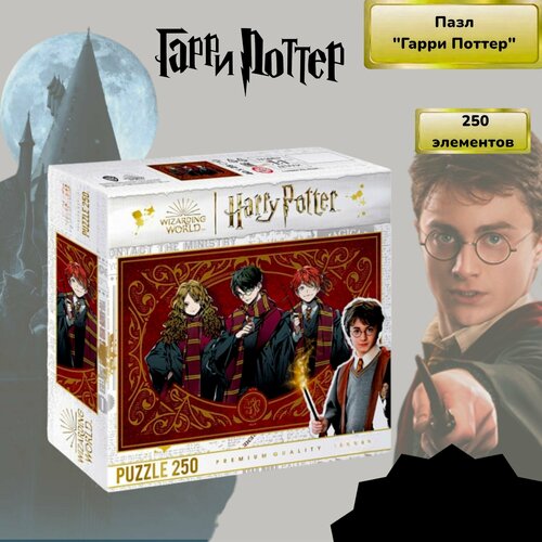 Пазл 250 элементов Гарри Поттер wizarding world 734₽