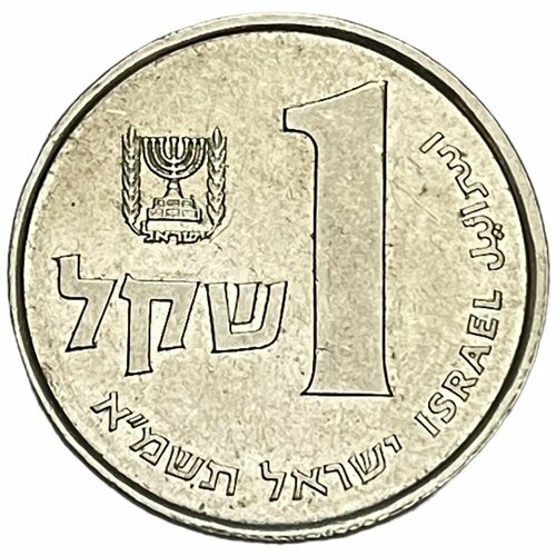 Израиль 1 шекель 1981 г. (5741) (Лот №7) израиль 1 шекель 1981 г 5741 2
