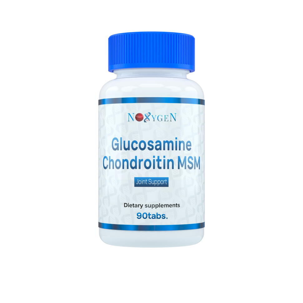 Noxygen Glucosamine Chondrotin MSM 90 табл.