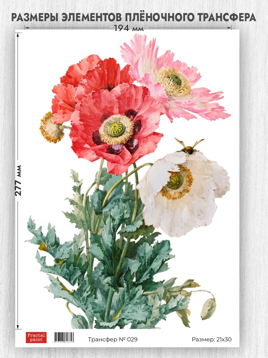Трансфер для декупажа переводной рисунок для поверхностей 029 (А4)