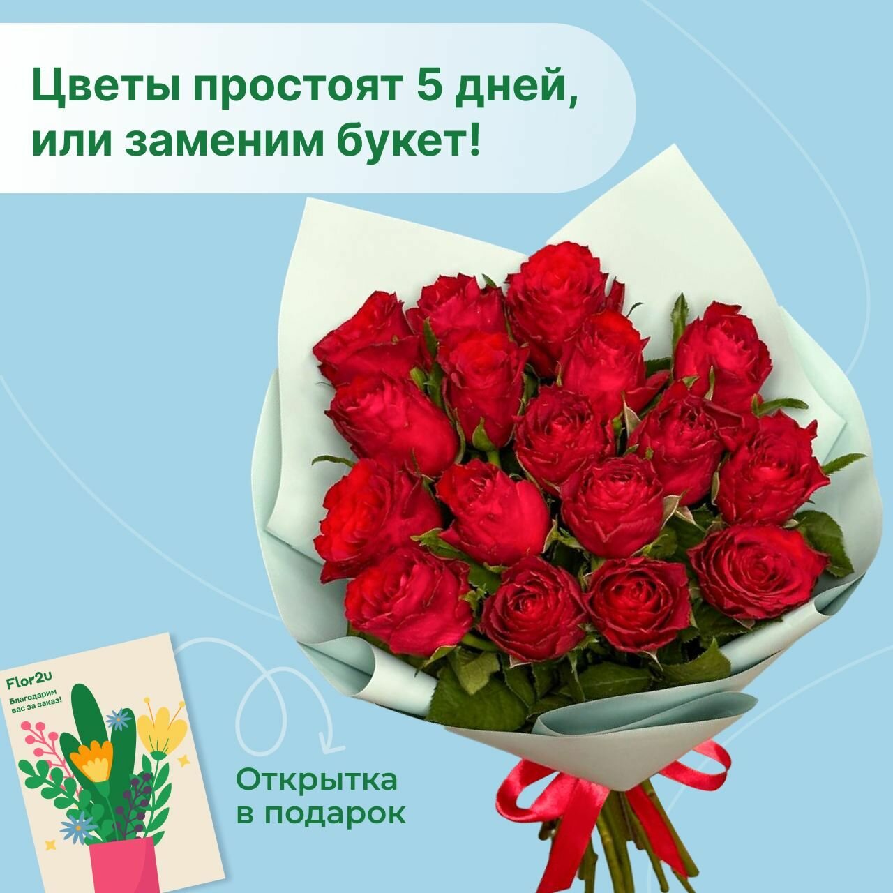 Цветы живые букет из 15 красных роз 35 см в упаковке Flor2u