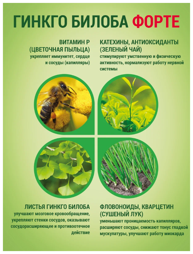 Гинкго Билоба форте таблетки 30 шт. Авен ООО - фото №8