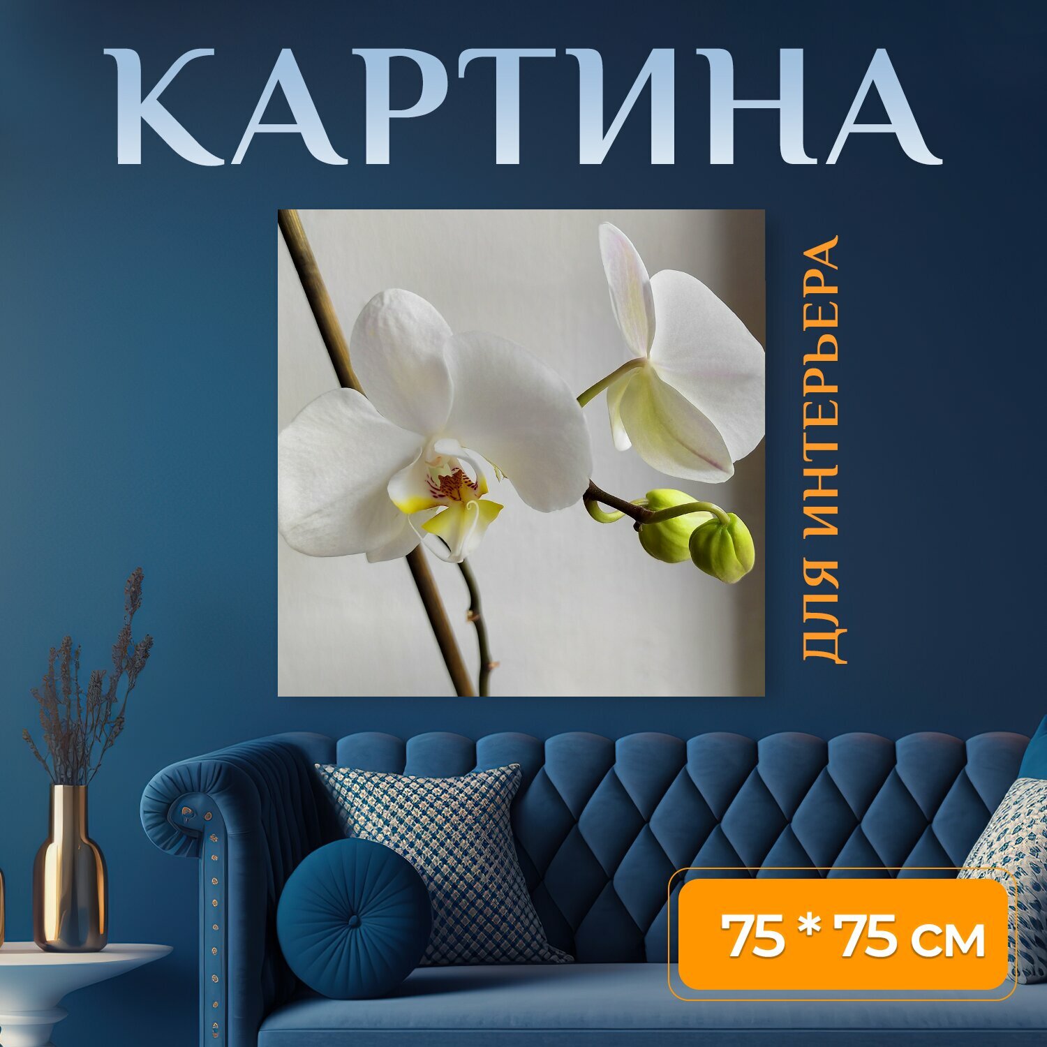 Картина на холсте "Орхидеи, белые цветки, белые орхидеи" на подрамнике 75х75 см. для интерьера
