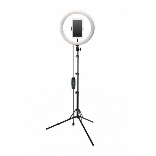 Осветитель Rekam 2302000026 870000₽