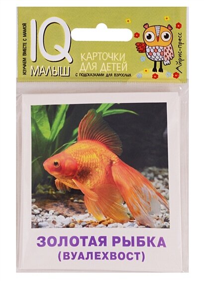 IQМалыш Аквариумные рыбы (карточки для детей с подсказками для взрослых), (Айрис, 2018), К, c.19