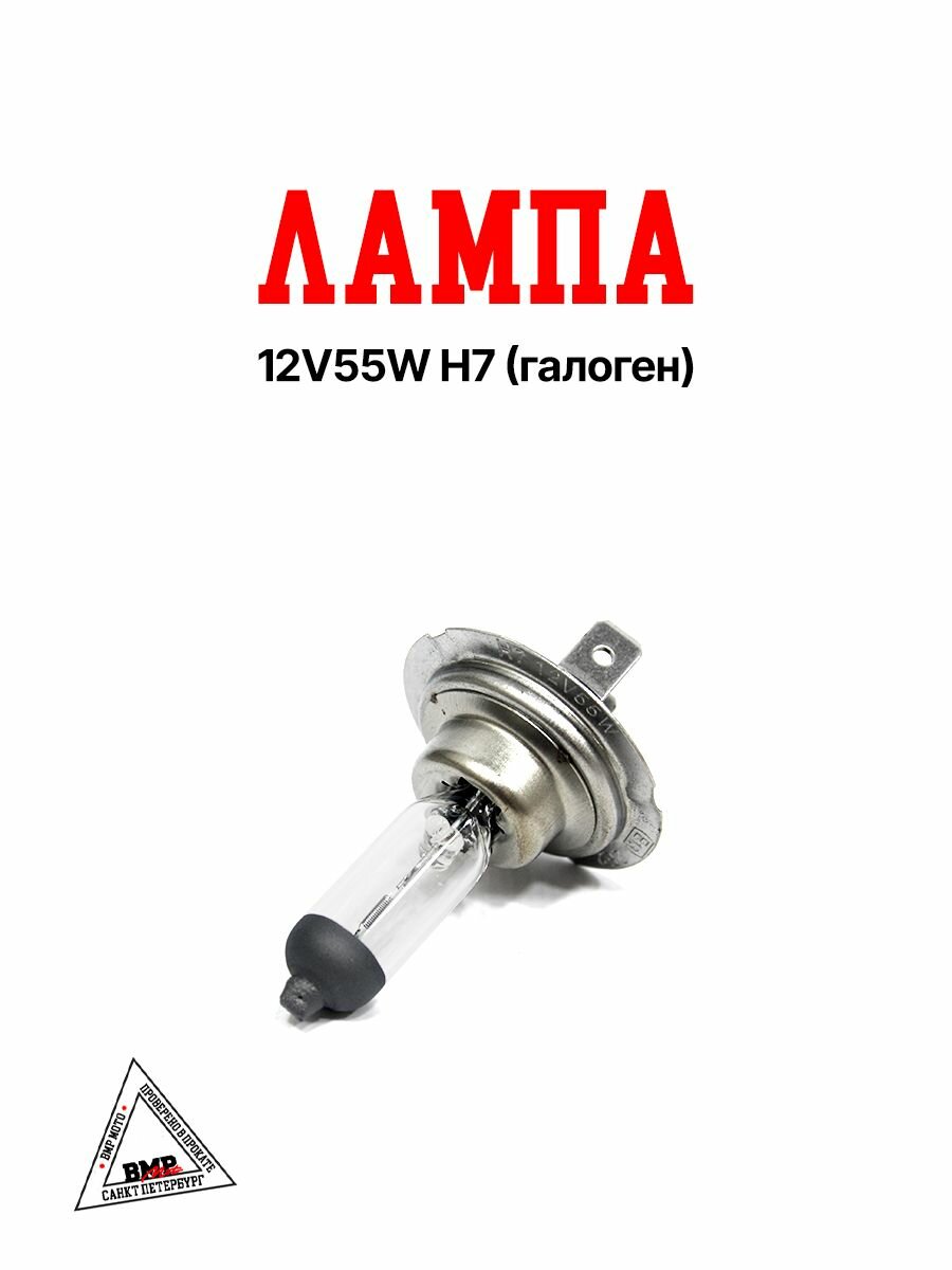 Лампа галогеновая 12V 55W H7