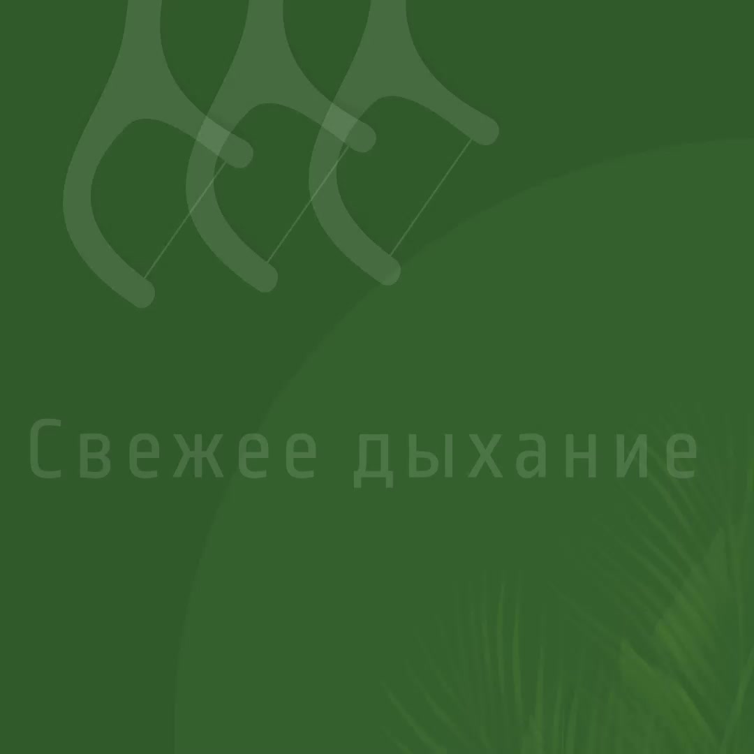 Зубная нить с держателем, флоссер, зубочистки с нитью 50 шт. (ALLUNEED, профилактика кариеса и зубного налета), подходит для брекетов — фото 1