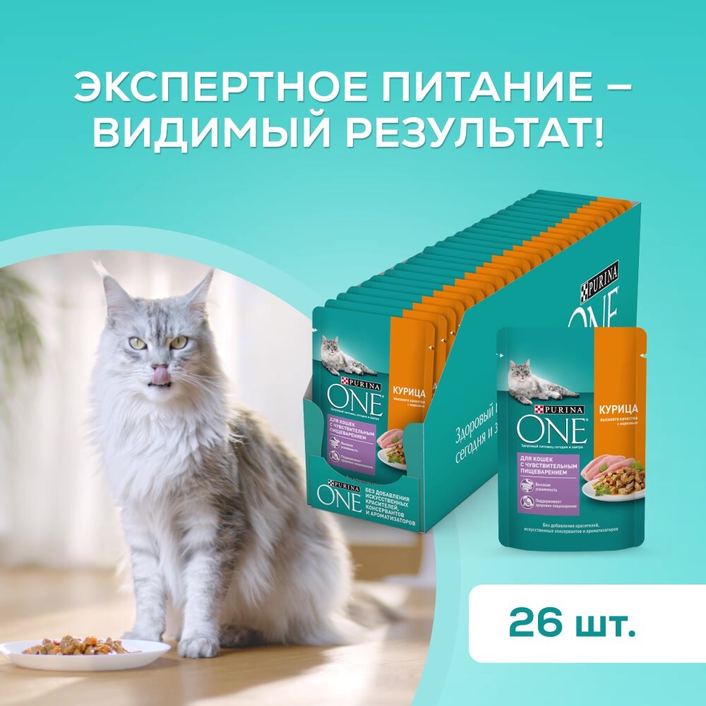 Влажный корм PURINA ONE® для взрослых кошек для чувствительного пищеварения с курицей и морковью 75 г х 26 шт — фото 1