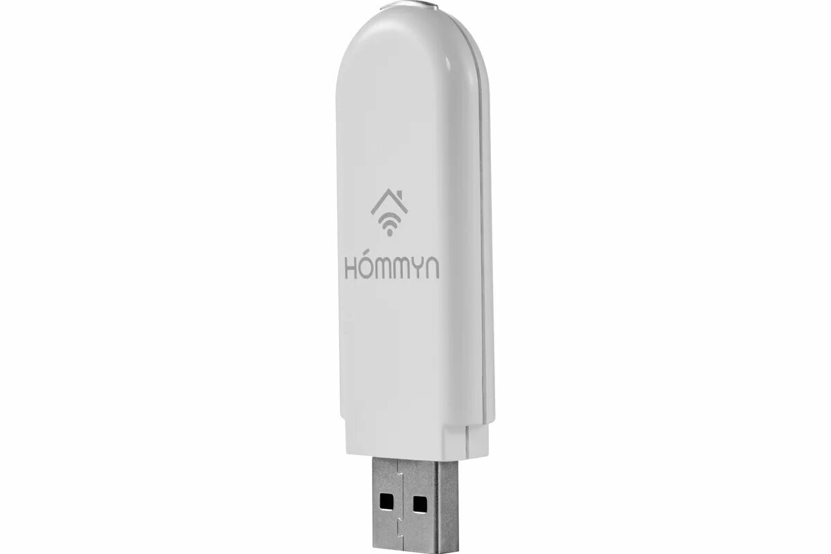 Съемный управляющий модуль HOMMYN HDN/WFN-02-01 НС-1416708