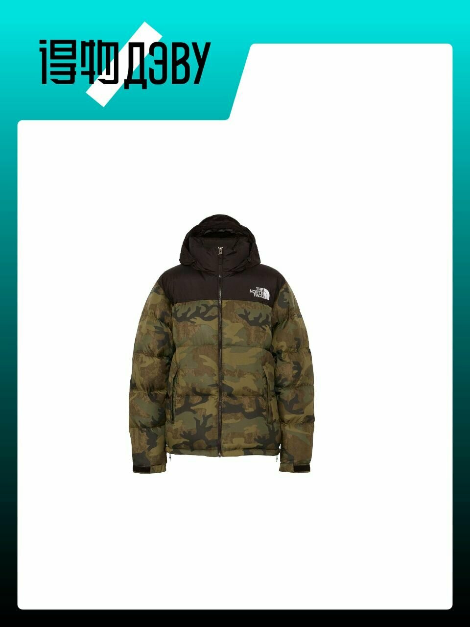 Пуховик The North Face Nupsi