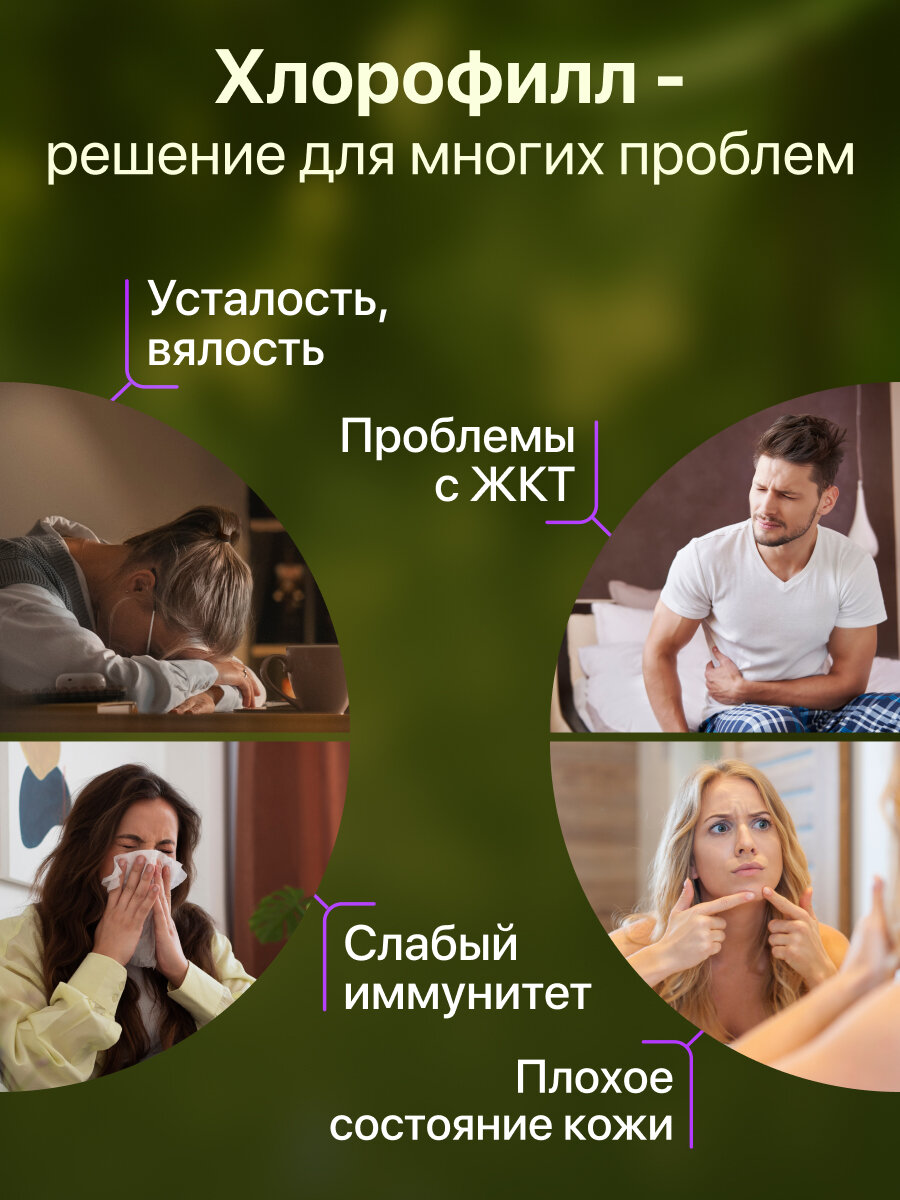 Хлорофилл жидкий пищевой БИО питьевой концентрат 500 мл со вкусом Черной смородины-мяты — фото 1