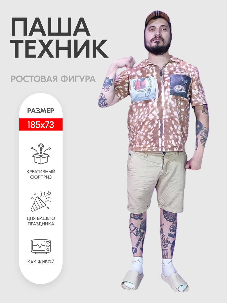 Ростовая фигура Indoor ad  Паша Техник   для фотосессий  картонная