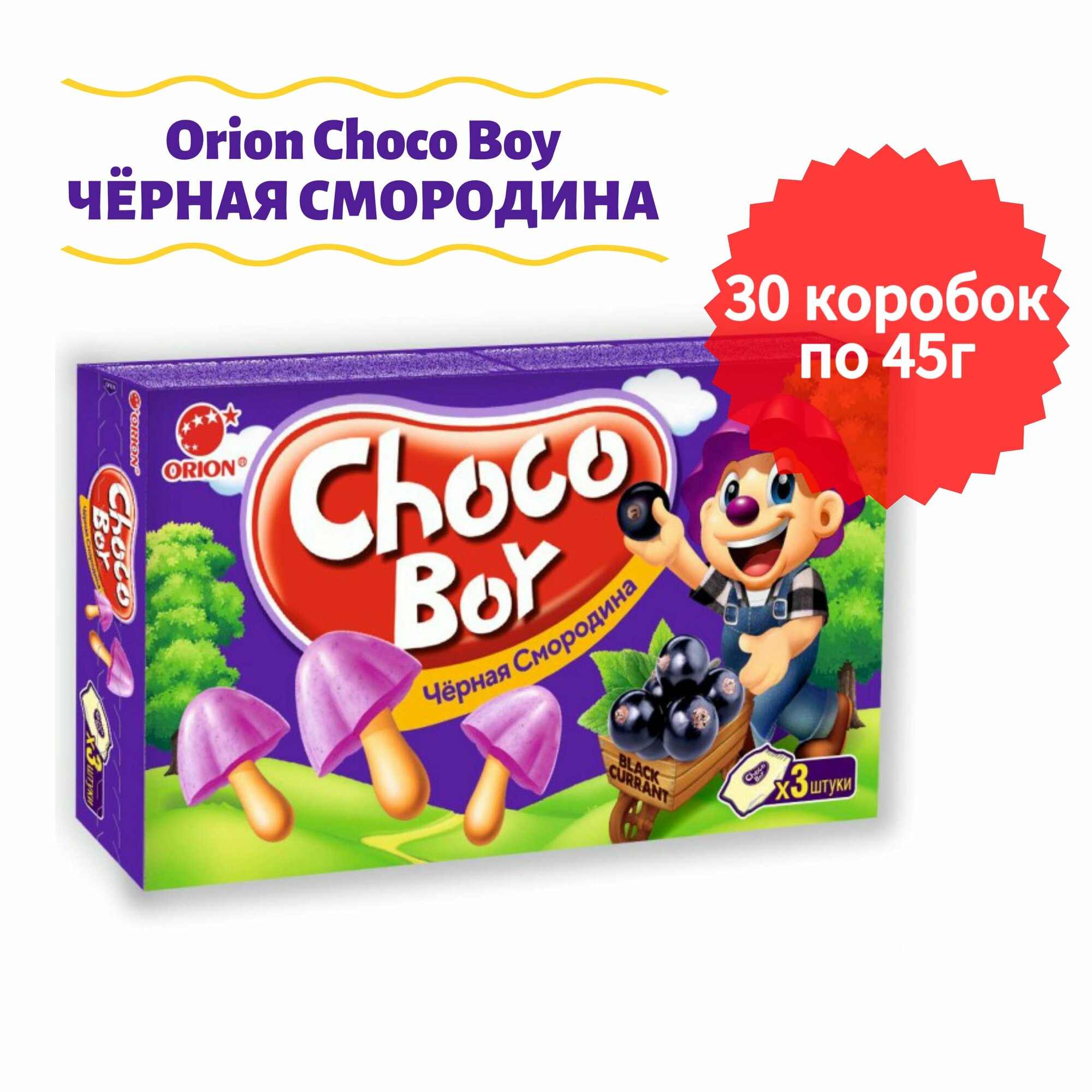 Печенье Orion Choco Boy Чёрная смородина, 30 шт по 45 гр.